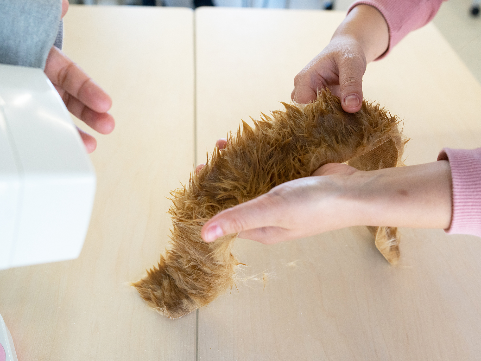 徹底比較 犬用ドライヤーのおすすめ人気ランキング10選 大型犬も速く乾かす Mybest