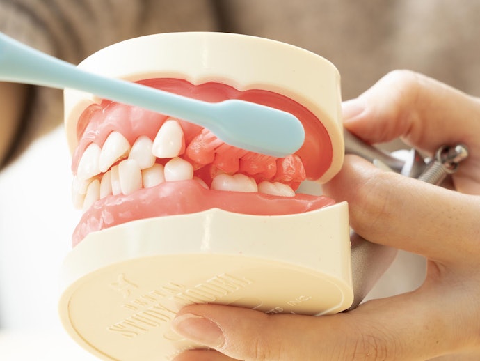徹底比較 歯ブラシのおすすめ人気ランキング76選 21年最新版 Mybest