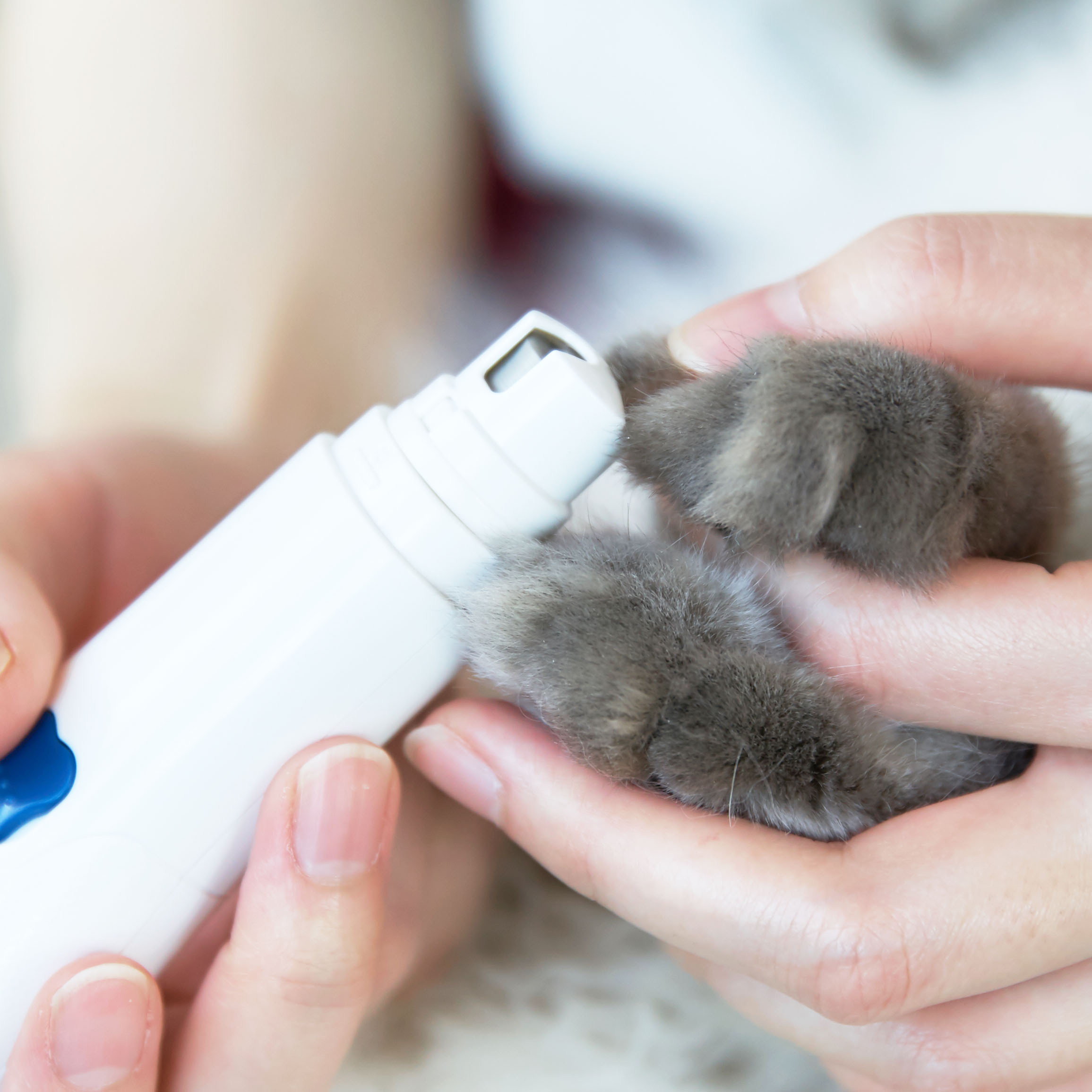 徹底比較 猫用爪切りのおすすめ人気ランキング10選 Mybest