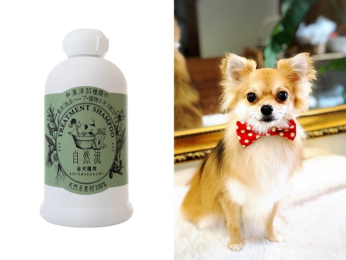 徹底比較 犬用シャンプーのおすすめ人気ランキング17選 オーガニックも mybest