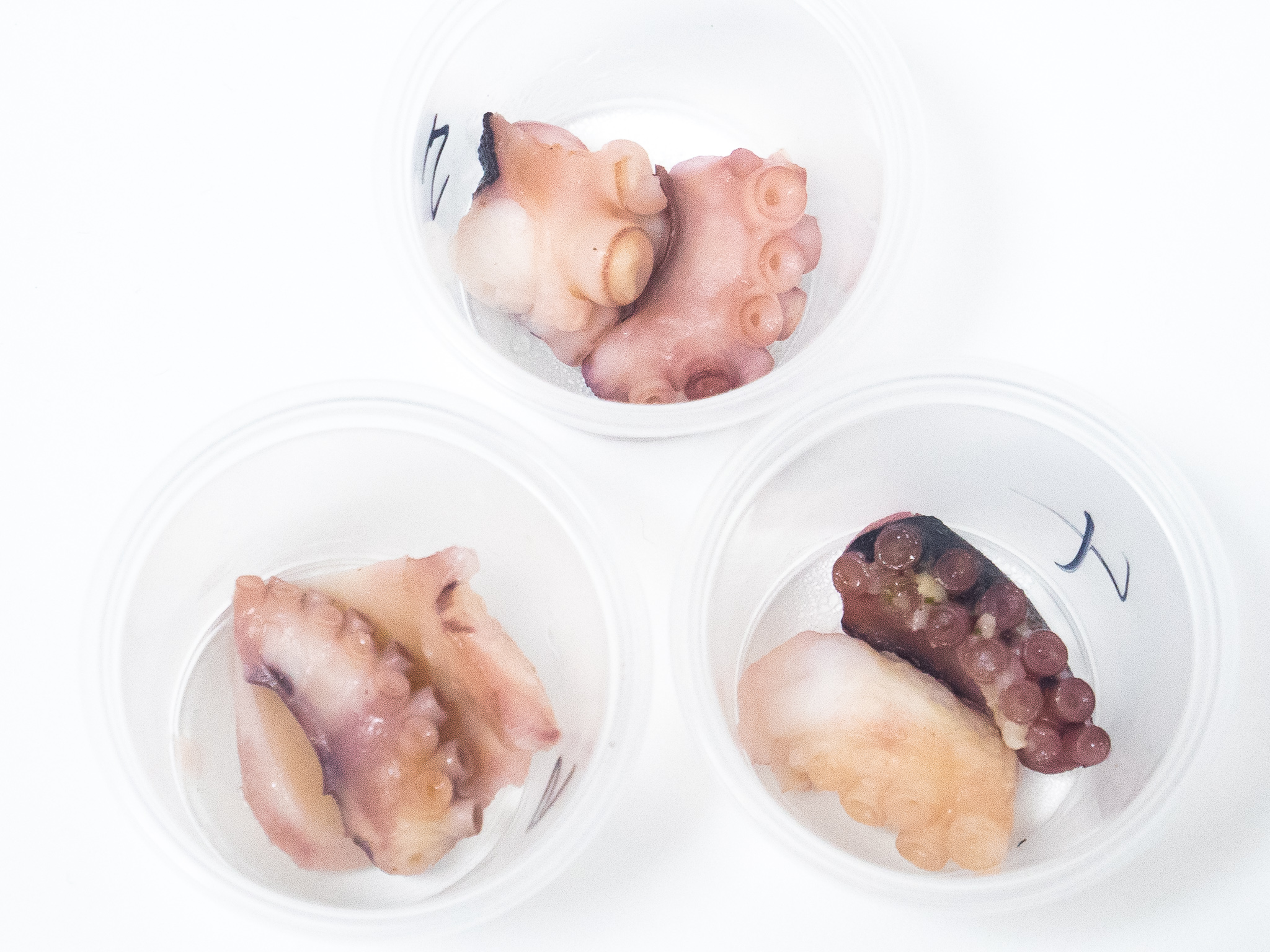 徹底比較 冷凍たこ焼きのおすすめ人気ランキング16選 Mybest