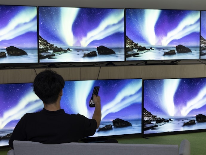 大型テレビ の検証