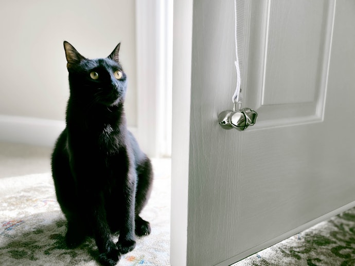デメリット:鈴の音が大きいと猫のストレスになる