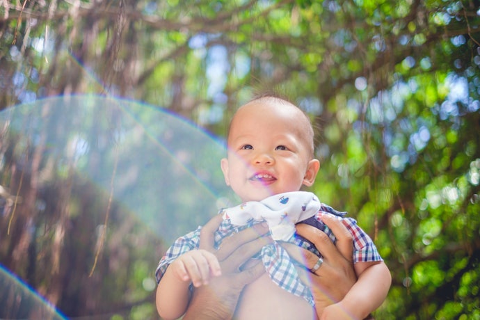 現在では、男の子がすこやかに成長することを祈願するものに