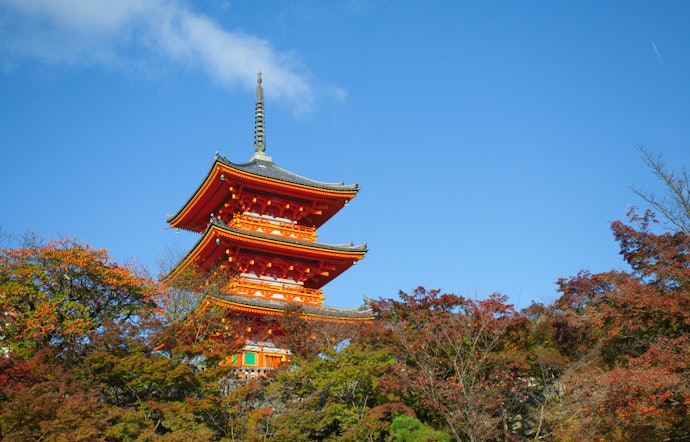 宗派ごとの決まりはない