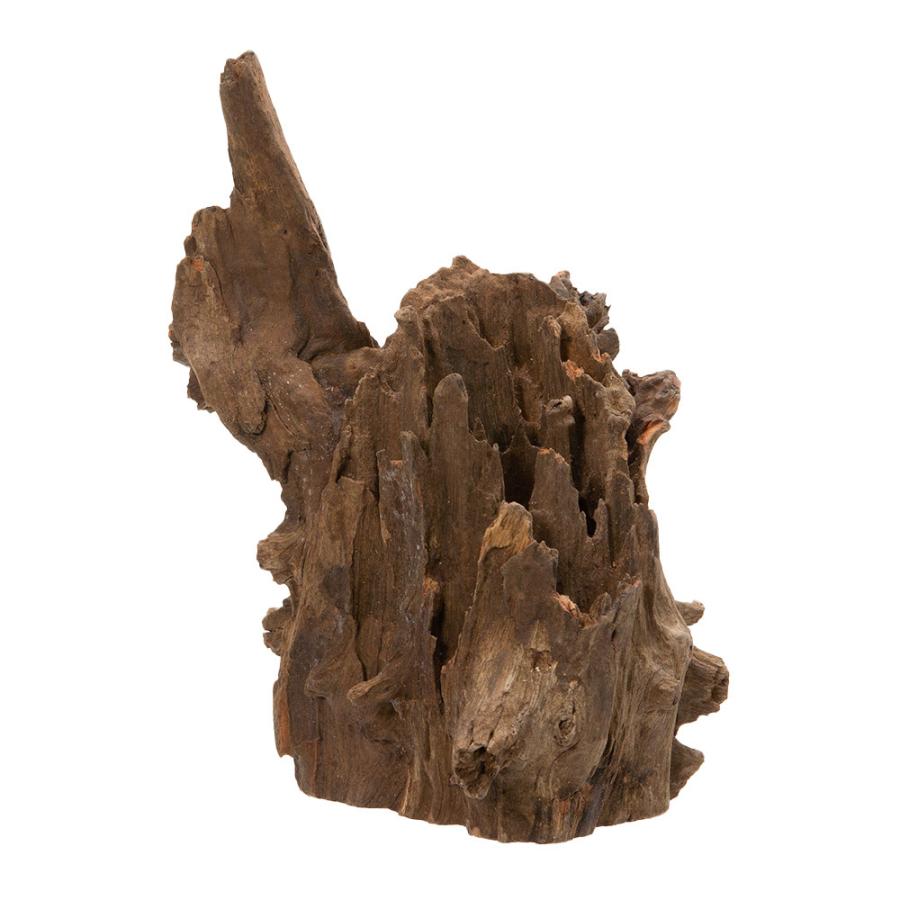 k50アク抜き済み流木 爬虫類シェルター レイアウト用 登り木