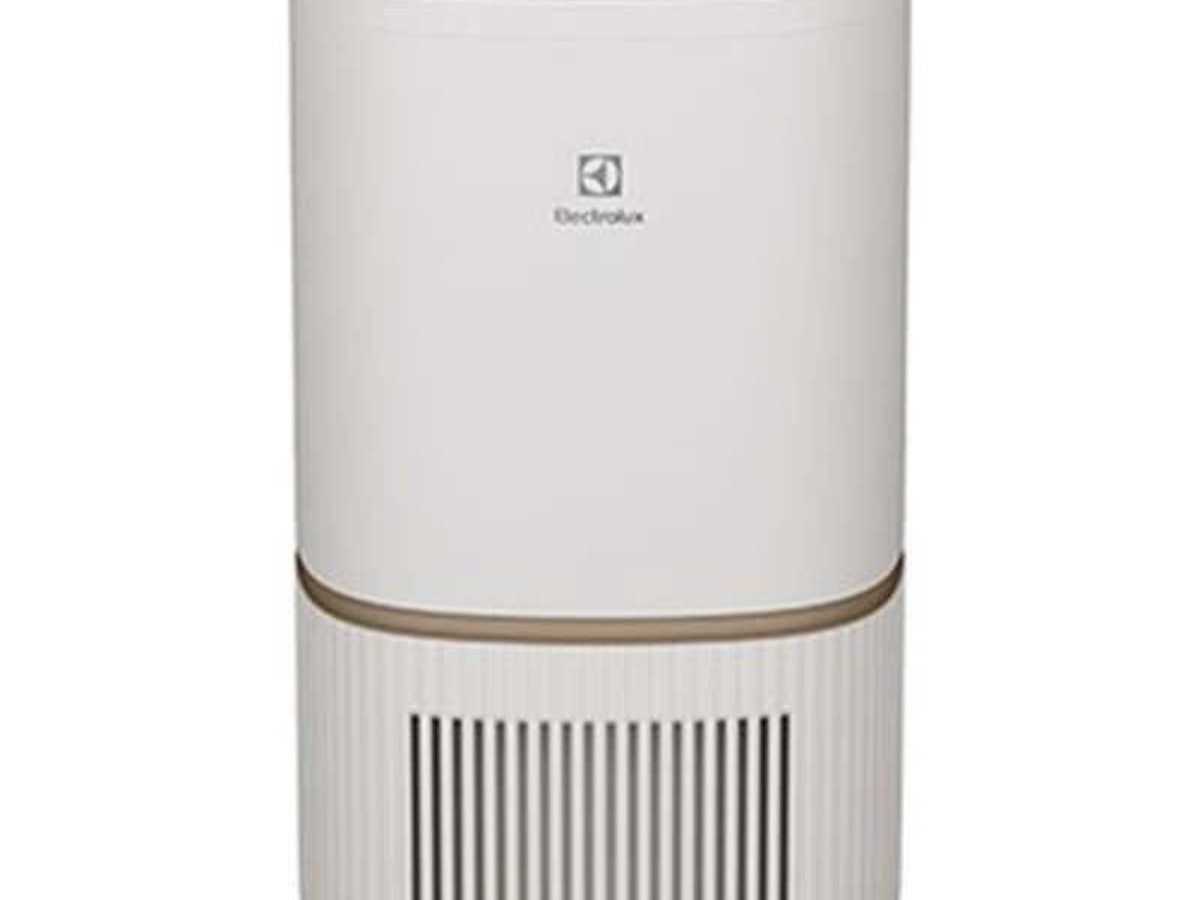 エレクトロラックス 空気清浄機 0648cd5d9aefa8862b8279668471b5