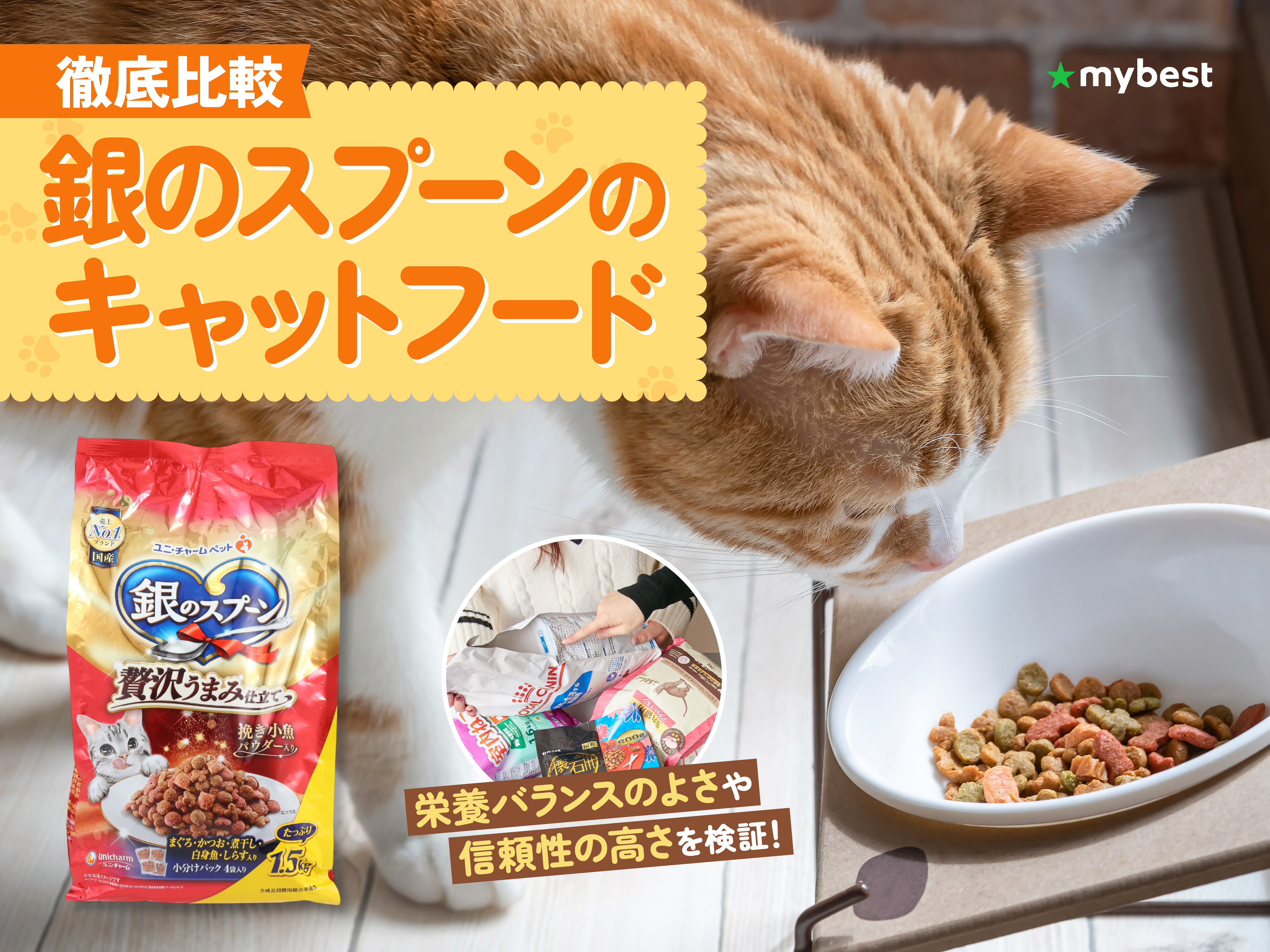 徹底比較】銀のスプーンのキャットフードのおすすめ人気ランキング