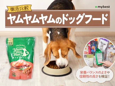 【徹底比較】ヤムヤムヤムのドッグフードのおすすめ人気ランキング【2026年3月】