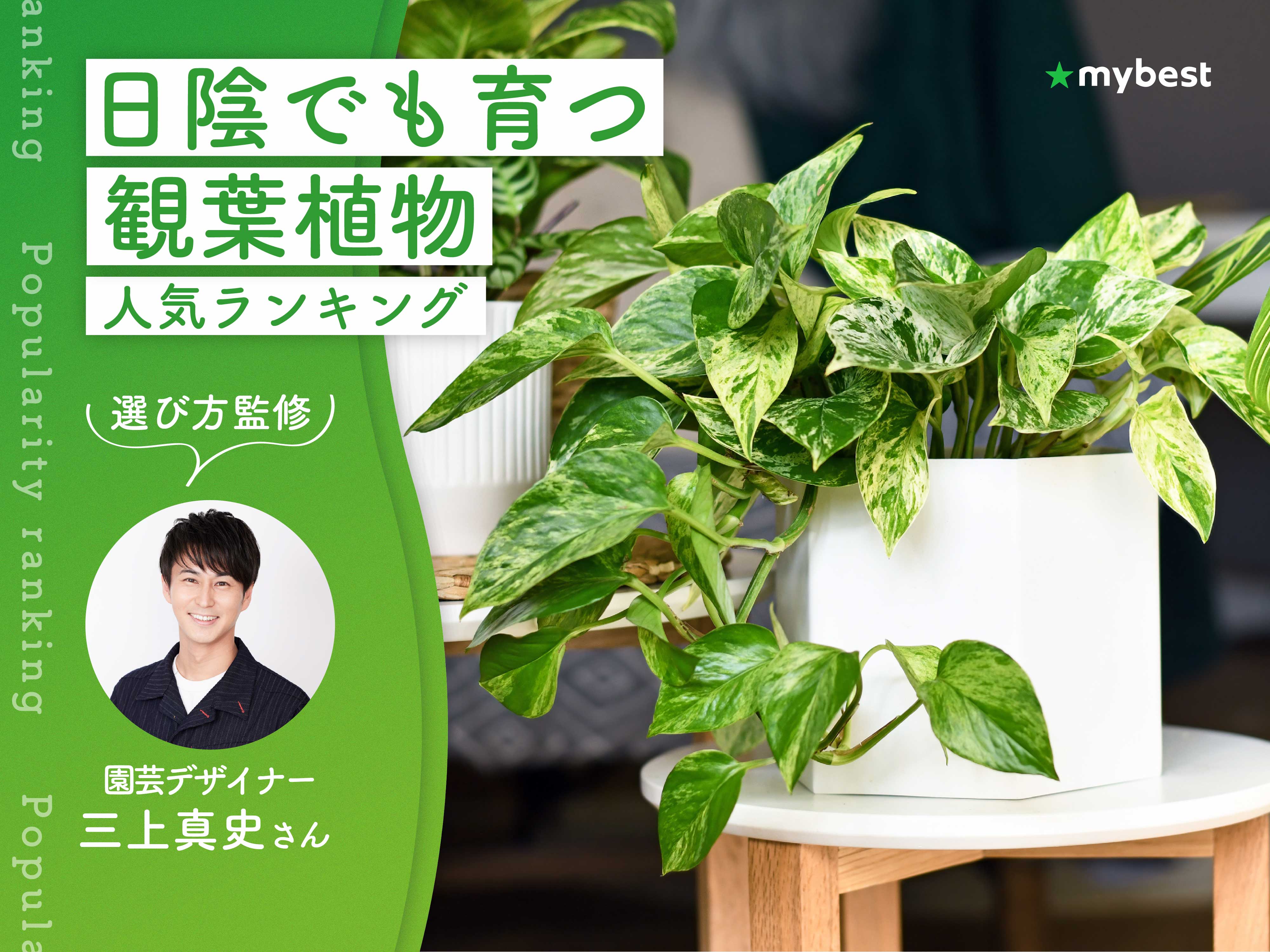 耐陰 性 観葉 植物