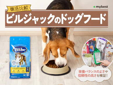 【徹底比較】ビルジャックのドッグフードのおすすめ人気ランキング【2026年3月】