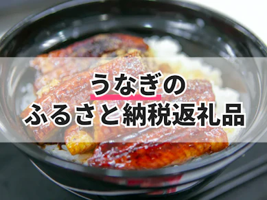 うなぎのふるさと納税返礼品のおすすめ人気ランキング【2026年8月】