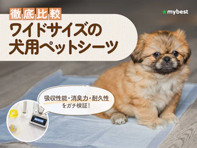 【徹底比較】ワイドサイズの犬用ペットシーツのおすすめ人気ランキング【2026年3月】