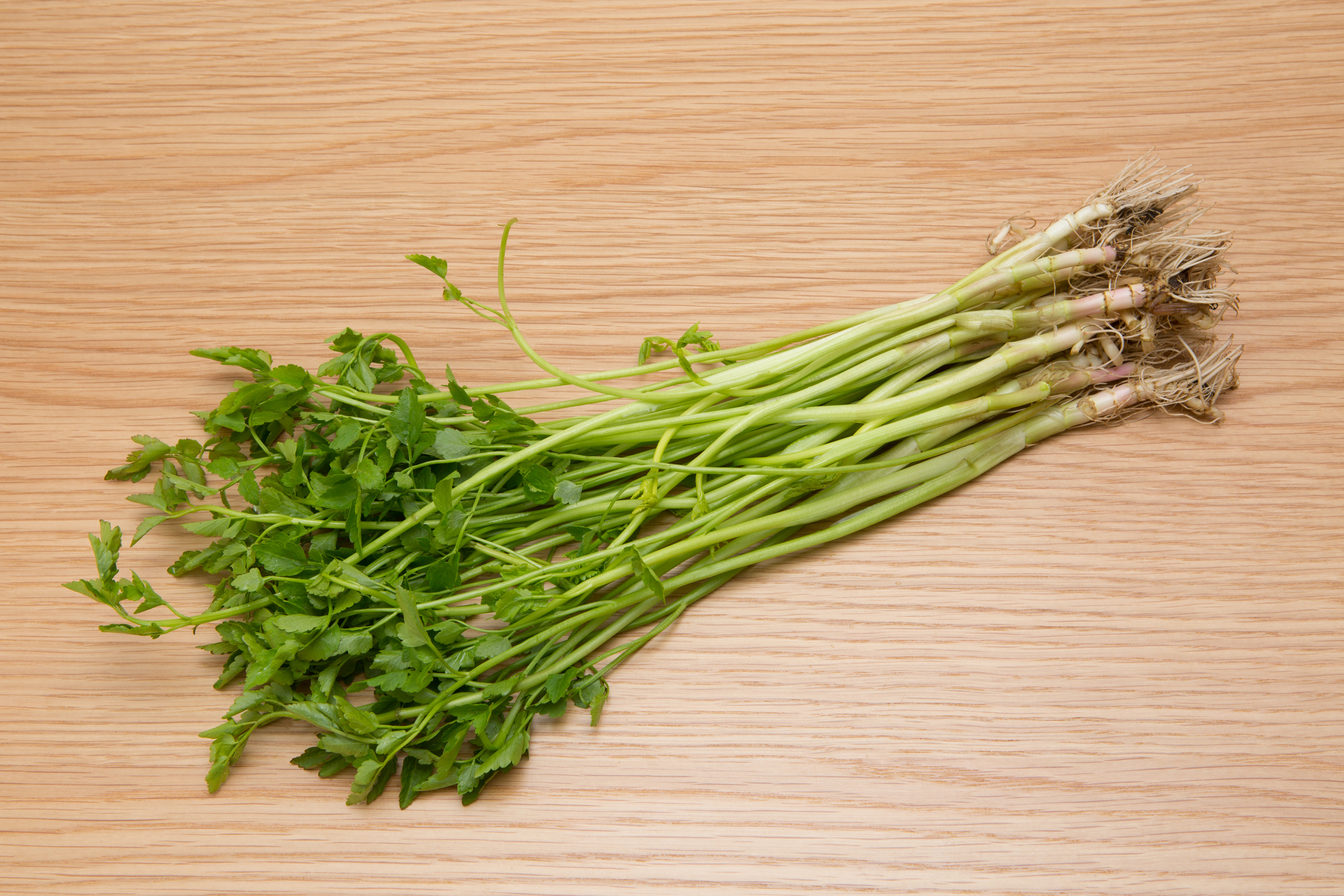 23年 せり鍋のお取り寄せのおすすめ人気ランキング6選 Mybest