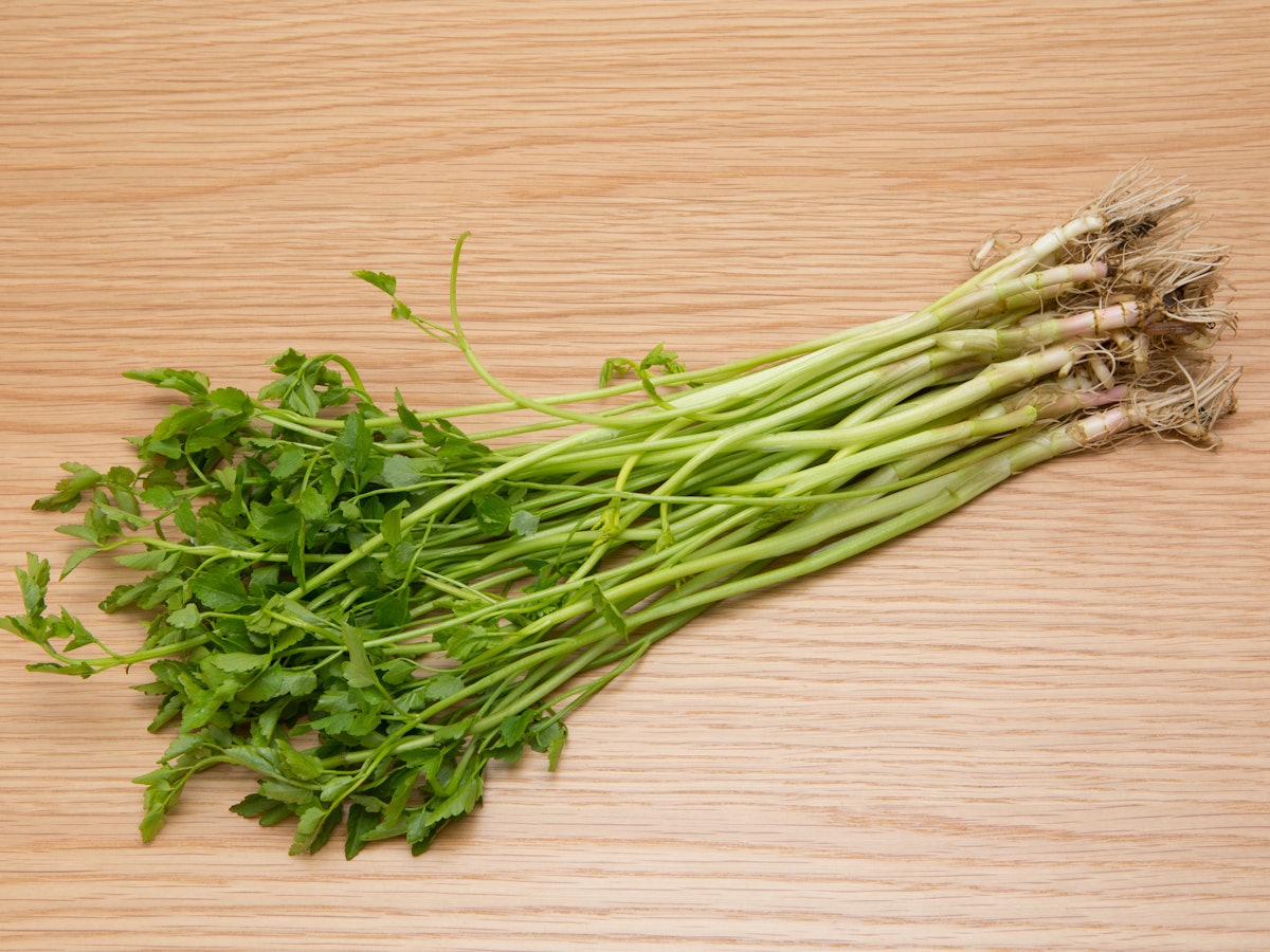 23年 せり鍋のお取り寄せのおすすめ人気ランキング6選 Mybest 23年 せり鍋のお取り寄せのおすすめ人気ランキング6選 Mybest