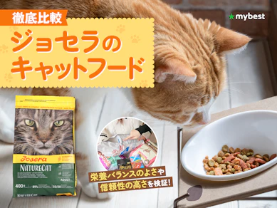 【徹底比較】ジョセラのキャットフードのおすすめ人気ランキング【2026年3月】