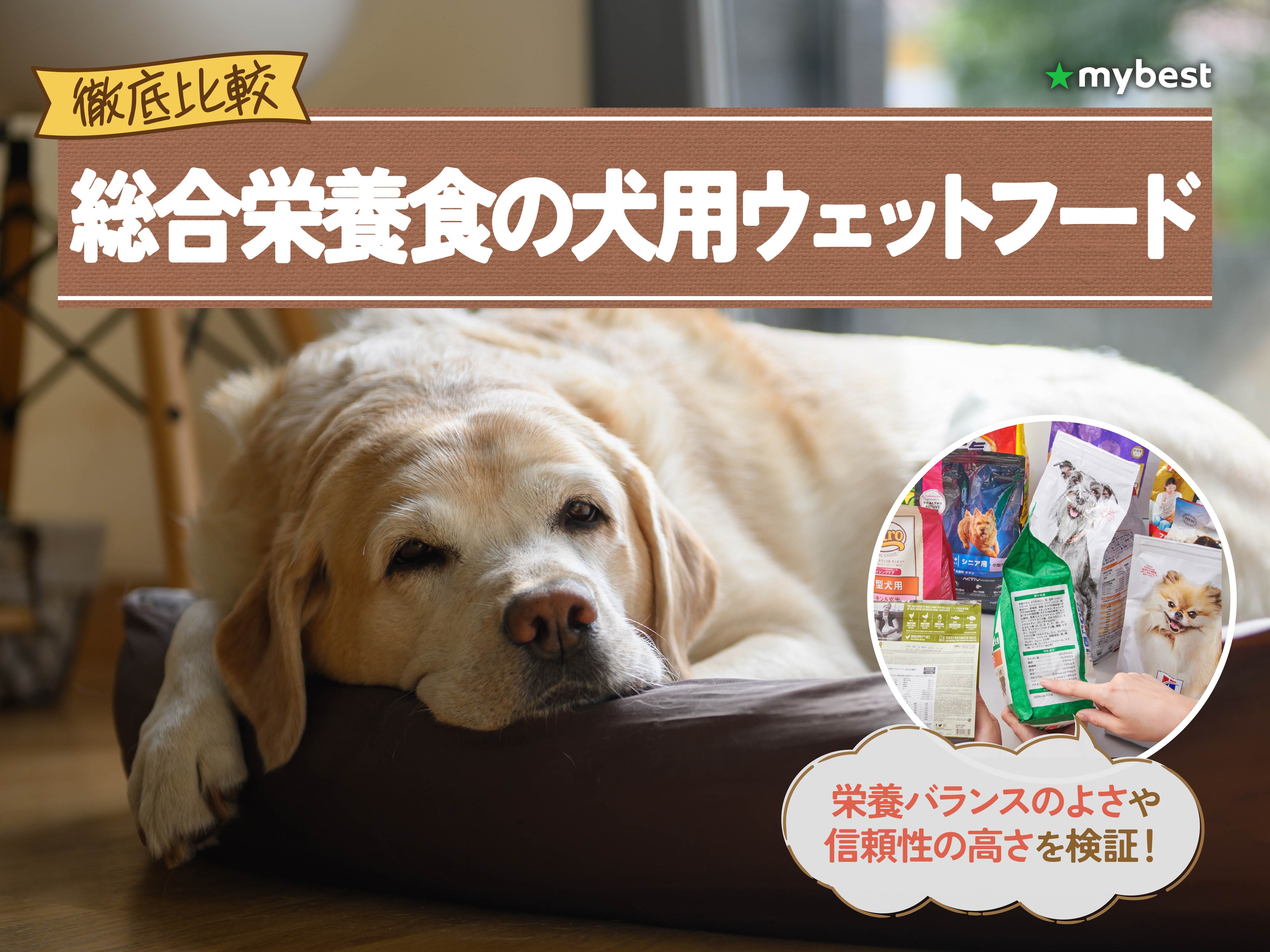 徹底比較】総合栄養食の犬用ウェットフードのおすすめ人気ランキング 