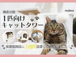 【徹底比較】1匹向けキャットタワーのおすすめ人気ランキング【2026年】