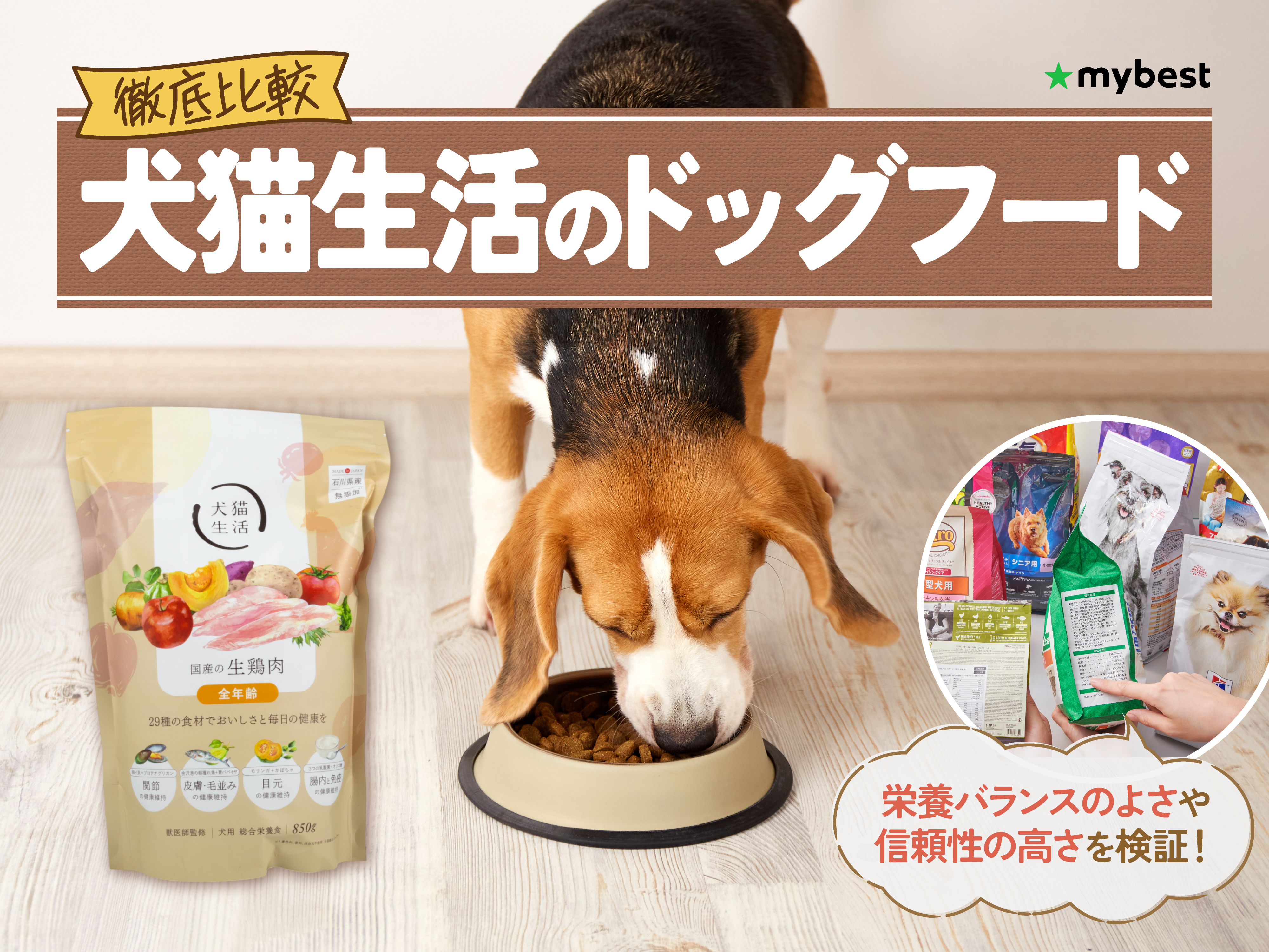 徹底比較】犬猫生活のドッグフードのおすすめ人気ランキング【2026年