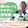 持病があっても入りやすい医療保険のおすすめ人気ランキング【引受基準緩和型|徹底比較】