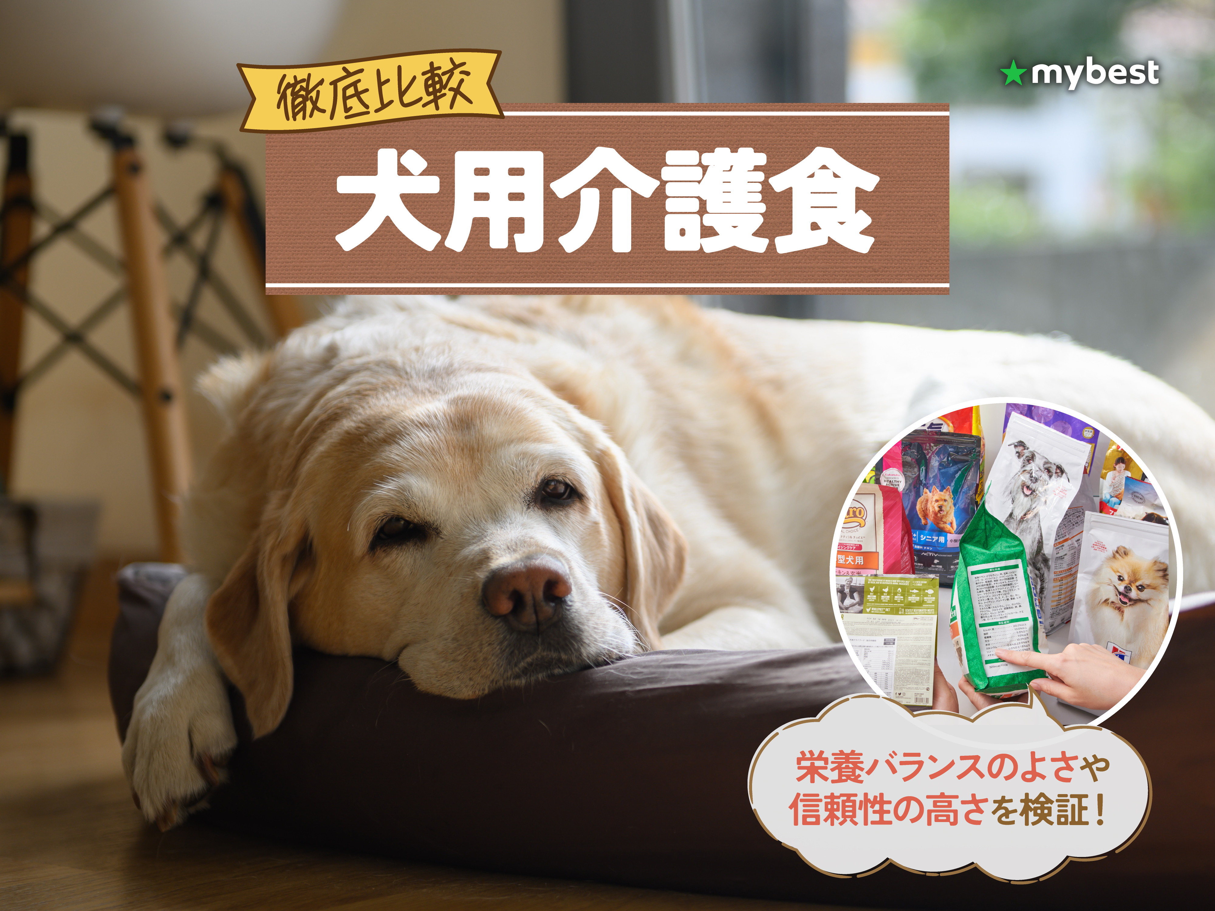 徹底比較】シニア犬用ウェットフードのおすすめ人気ランキング【2026年
