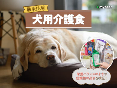 【徹底比較】犬用介護食のおすすめ人気ランキング【2026年3月】