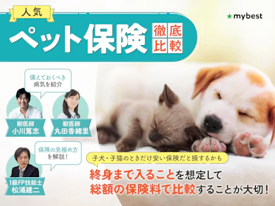 ペット保険のおすすめ人気ランキング【どこがいい?徹底比較】