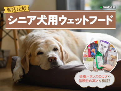 【徹底比較】シニア犬用ウェットフードのおすすめ人気ランキング【2026年3月】