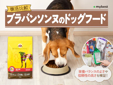 【徹底比較】ブラバンソンヌのドッグフードのおすすめ人気ランキング【2026年3月】