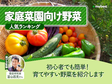 家庭菜園向け野菜のおすすめ人気ランキング【2026年9月】