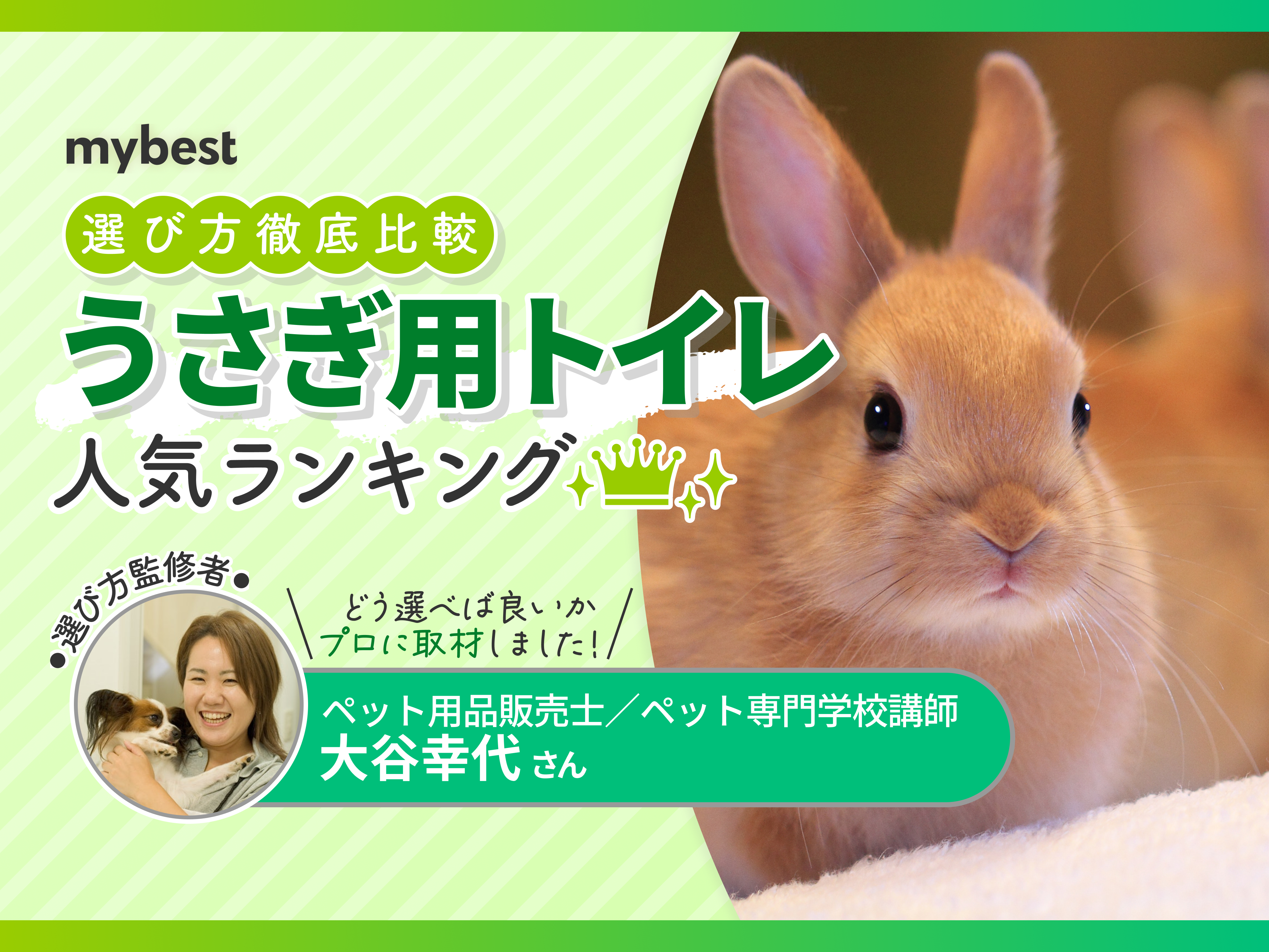 うさぎチンチラモルモットプレリードッグフェレットラビットケージ