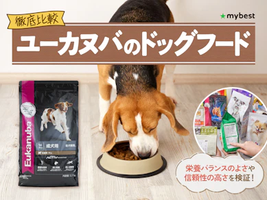 【徹底比較】ユーカヌバのドッグフードのおすすめ人気ランキング【2026年3月】