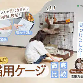 ネオリード CAT TOWER STADIUM トイレ付きキャットケージ にゃん箱1号 ネオリード CAT TOWER STADIUM トイレ付きキャットケージ にゃん箱1号