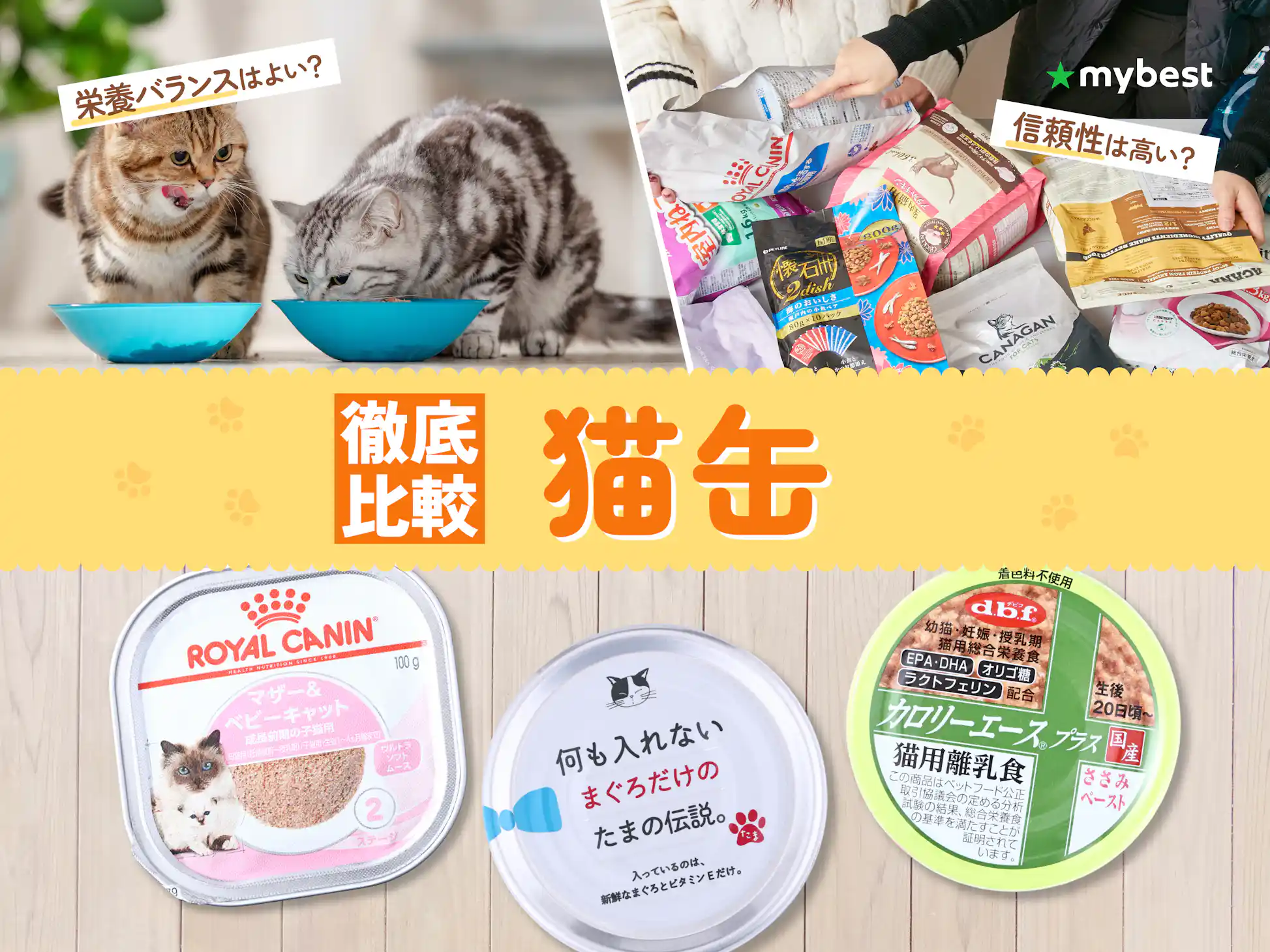 徹底比較】猫缶のおすすめ人気ランキング【2026年3月】 | マイベスト 徹底比較】猫缶のおすすめ人気ランキング【2026年3月】 | マイベスト