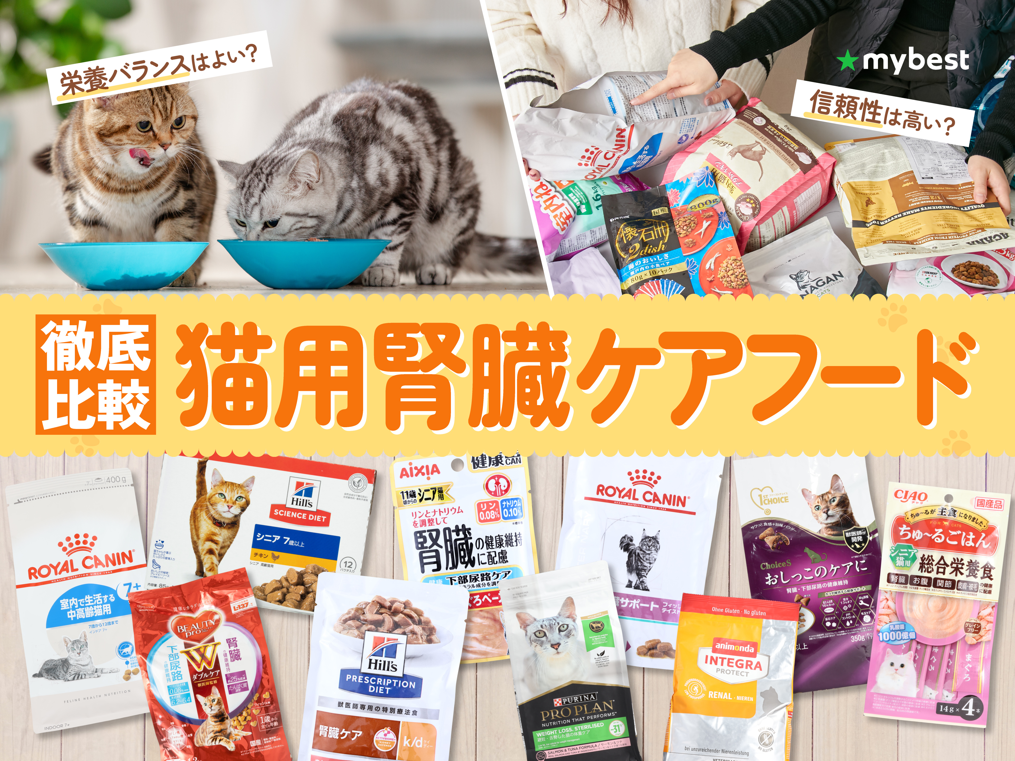 徹底比較】猫用腎臓ケアフードのおすすめ人気ランキング【2026年3月