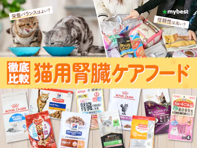 【徹底比較】猫用腎臓ケアフードのおすすめ人気ランキング【2026年3月】