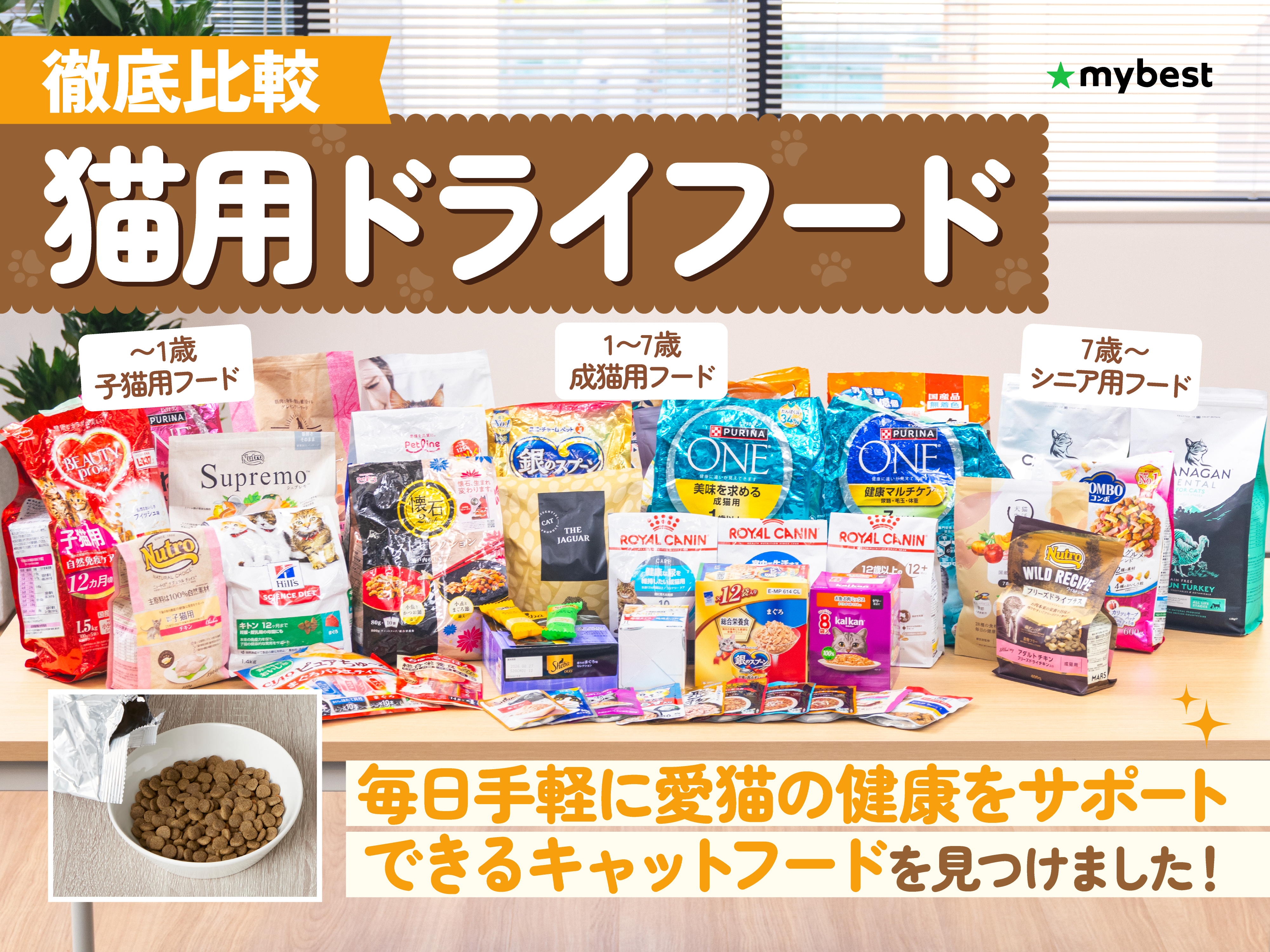 シュプレモ子猫用2kg ワイルドレシピ子猫用パウチ48個セット 猫用品