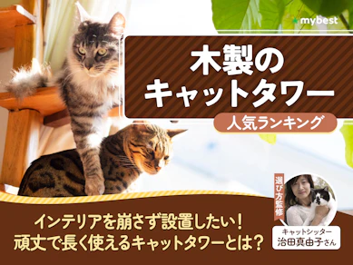 木製のキャットタワーのおすすめ人気ランキング【2026年8月】