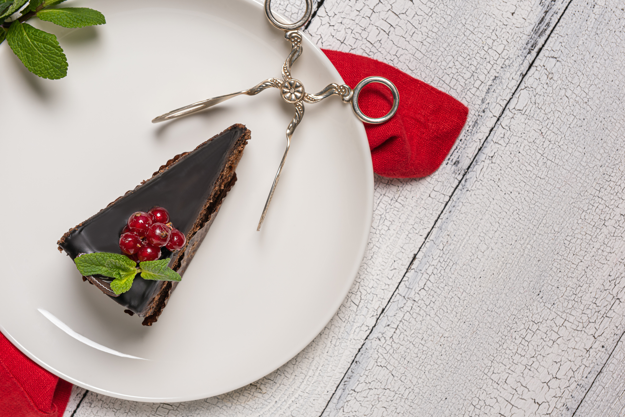 ケーキトングのおすすめ人気ランキング【2026年2月】 | マイベスト