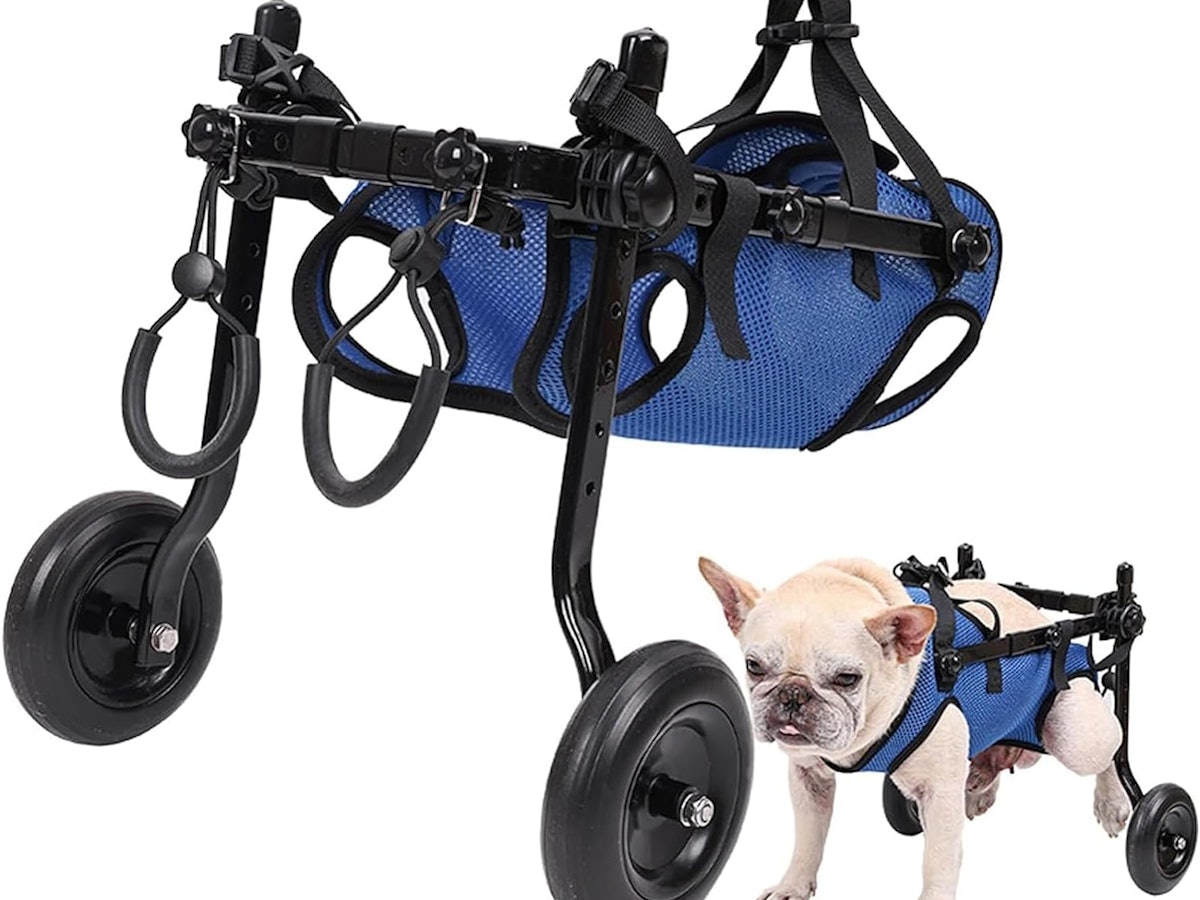 トイプードル4輪 リハビリ 食事補助 犬用車椅子 介護用 犬の歩行器 トイプードル4輪リハビリ食事補助犬用車椅子介護用犬の歩行器