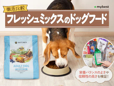 【徹底比較】フレッシュミックスのドッグフードのおすすめ人気ランキング【2026年3月】