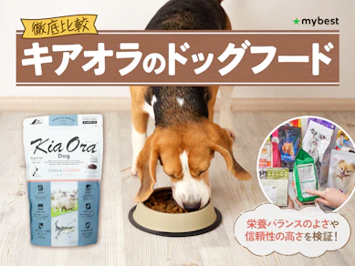 【徹底比較】キアオラのドッグフードのおすすめ人気ランキング【2026年3月】