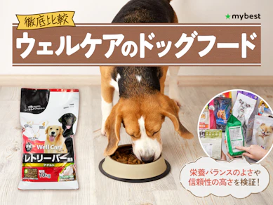 【徹底比較】ウェルケアのドッグフードのおすすめ人気ランキング【2026年3月】