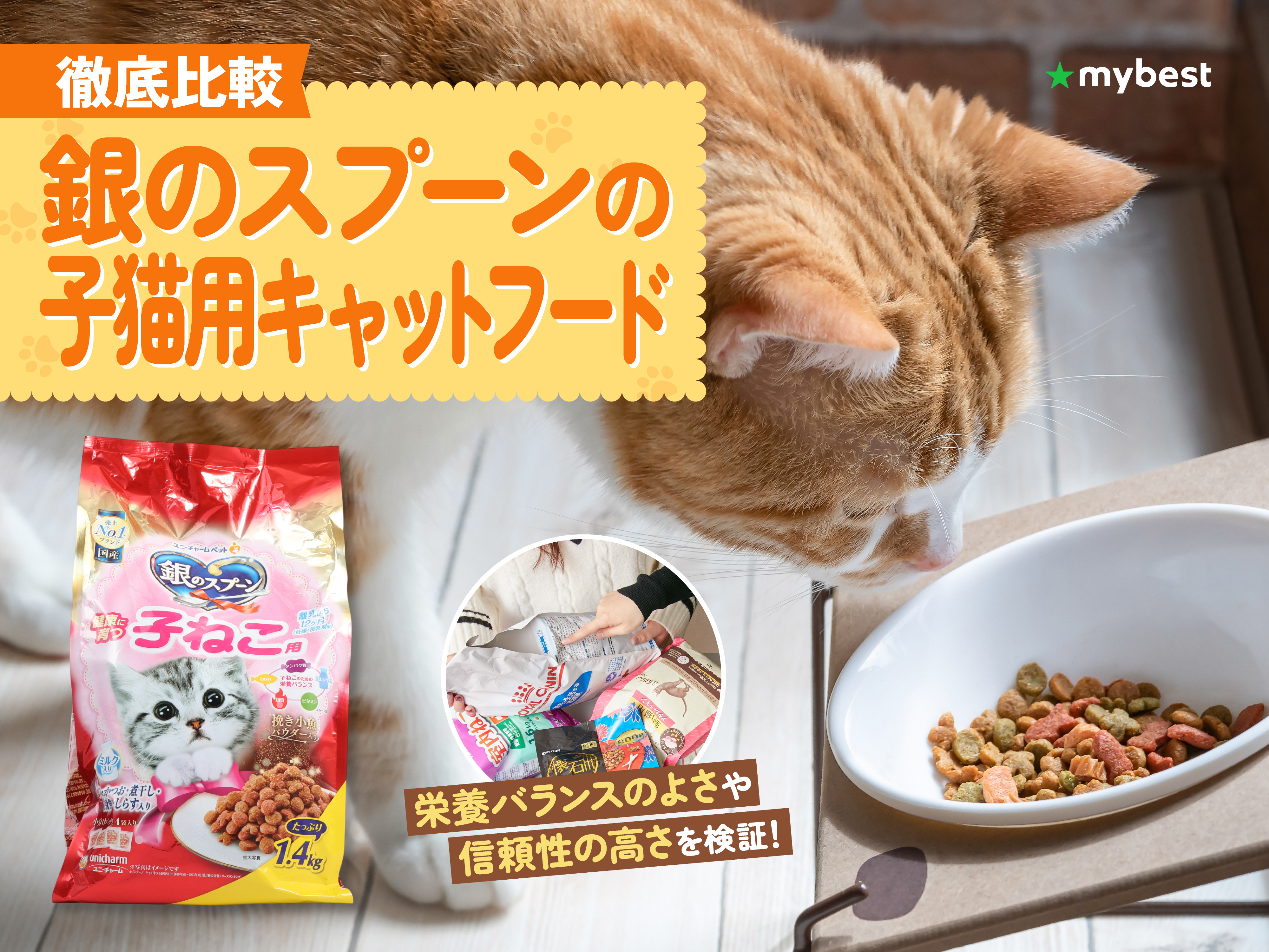 徹底比較】銀のスプーンの子猫用キャットフードのおすすめ人気