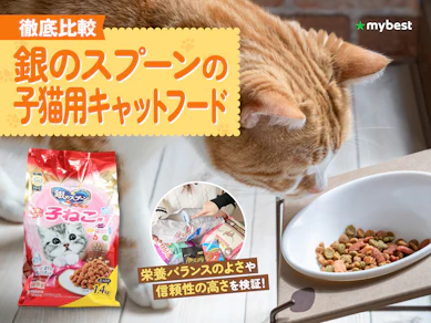 【徹底比較】銀のスプーンの子猫用キャットフードのおすすめ人気ランキング【2026年3月】