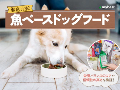 【徹底比較】魚ベースドッグフードのおすすめ人気ランキング【2026年3月】