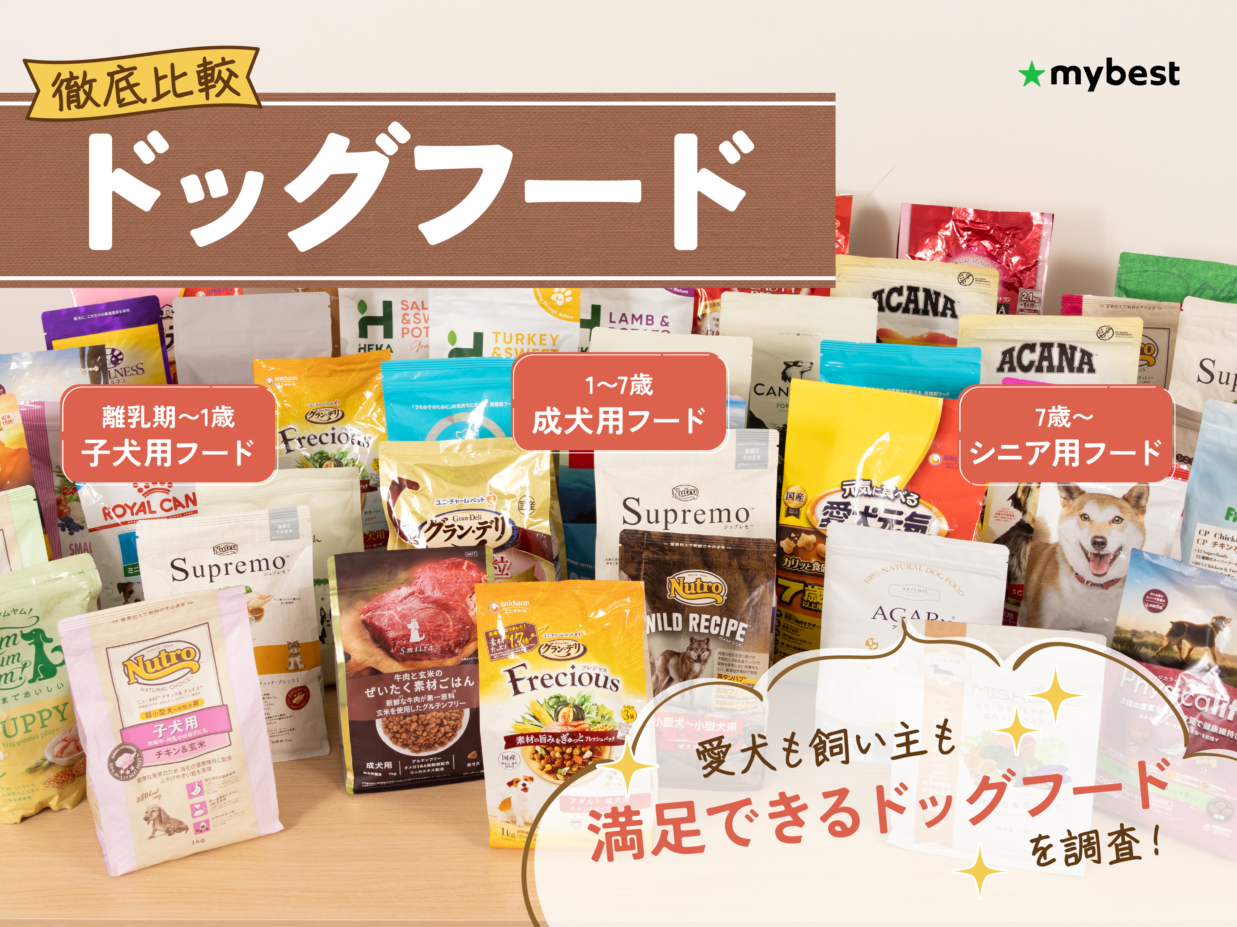 このこのごはん 1キロ✖️4 破格 このこのごはん給与量