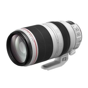 キヤノンのズームレンズのおすすめ人気ランキング【2026年1月】 | マイ