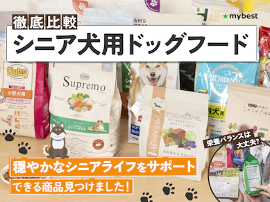 【徹底比較】シニア犬用ドッグフードのおすすめ人気ランキング【2025年9月】