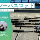 シーバスロッドのおすすめ人気ランキング【専門家監修!2026年9月】